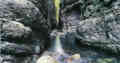Southern Italy - Calabria hosts National Parks with all their wilderness, flora and great sceneries